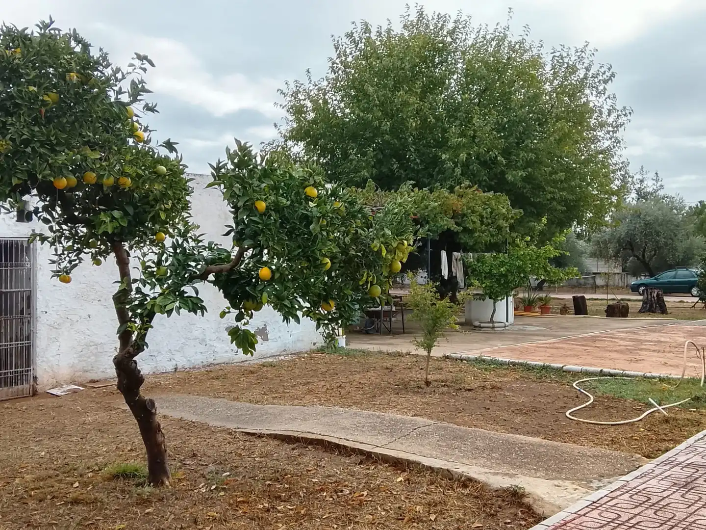 Jardí de Finca rústica en venda en Córdoba amb Aire condicionat, Calefacció i Jardí privat
