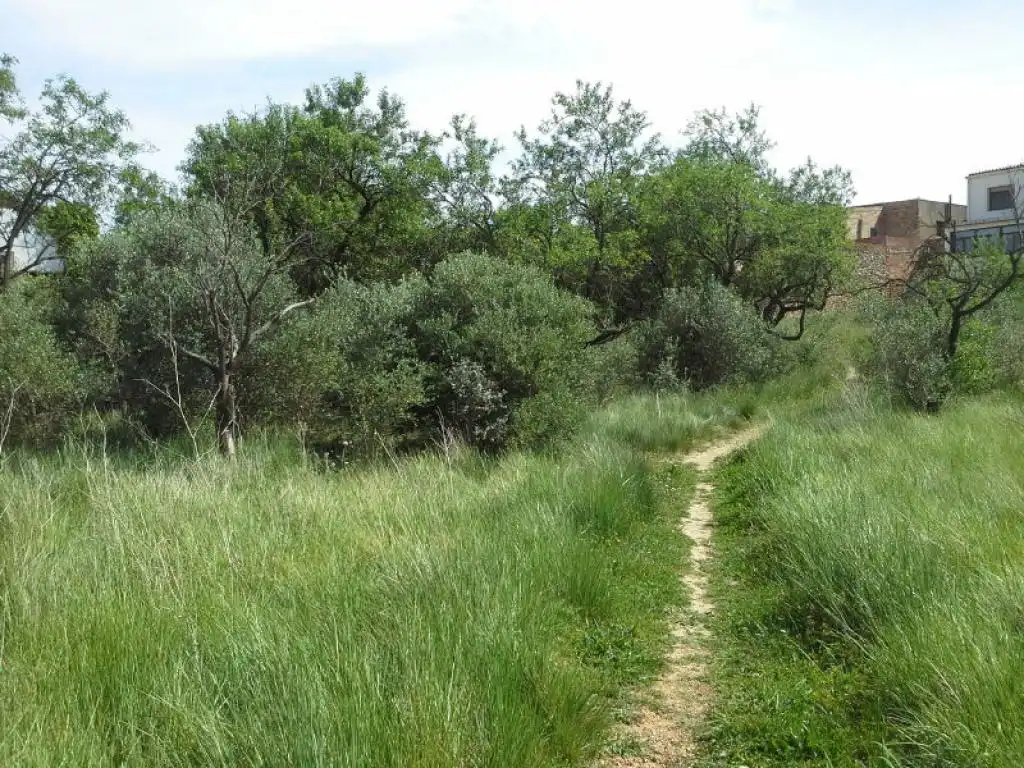 Rural land for sale in DOMENGES, imagen 3