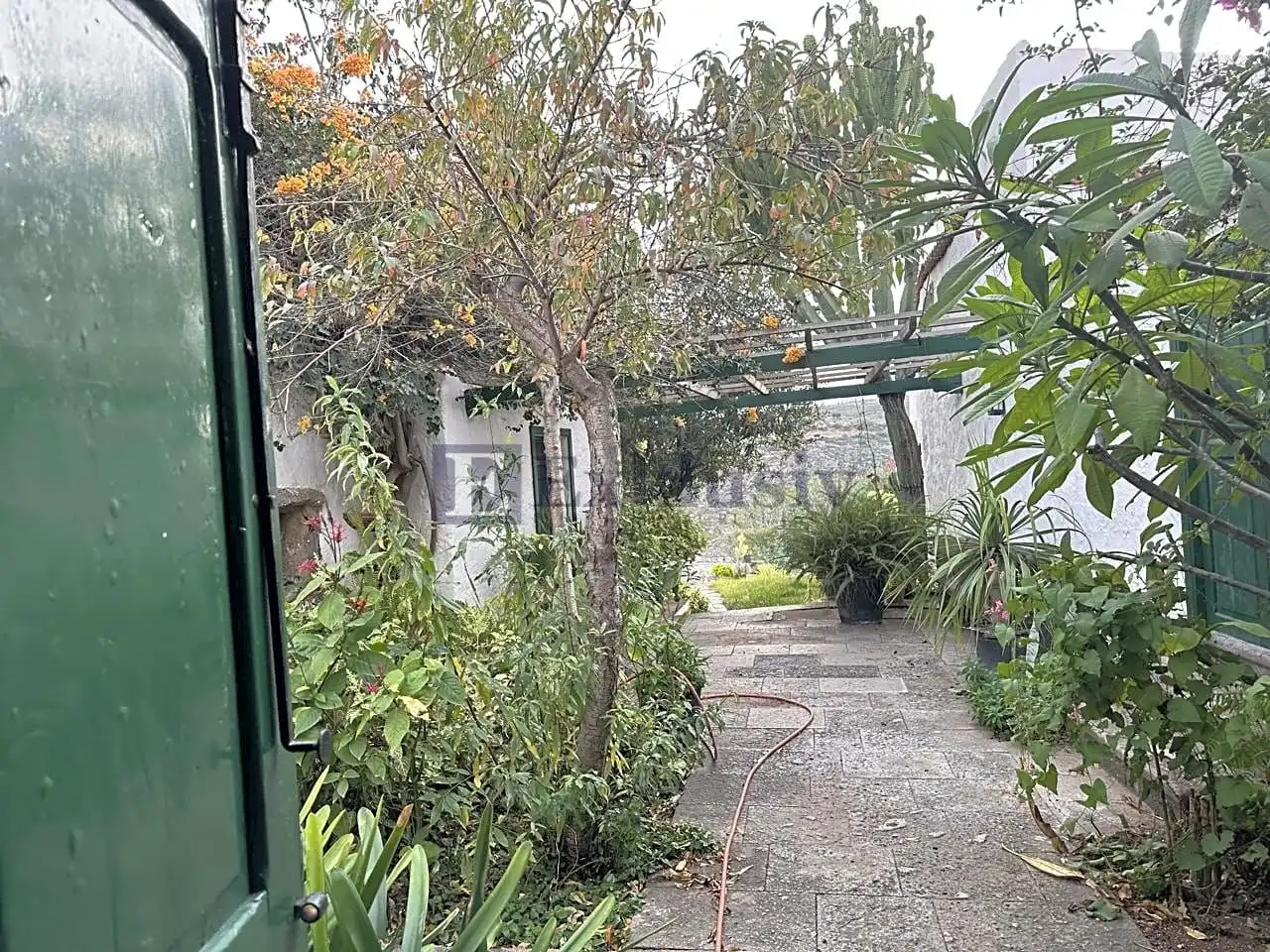 Jardín de Finca rústica en venta en Arico