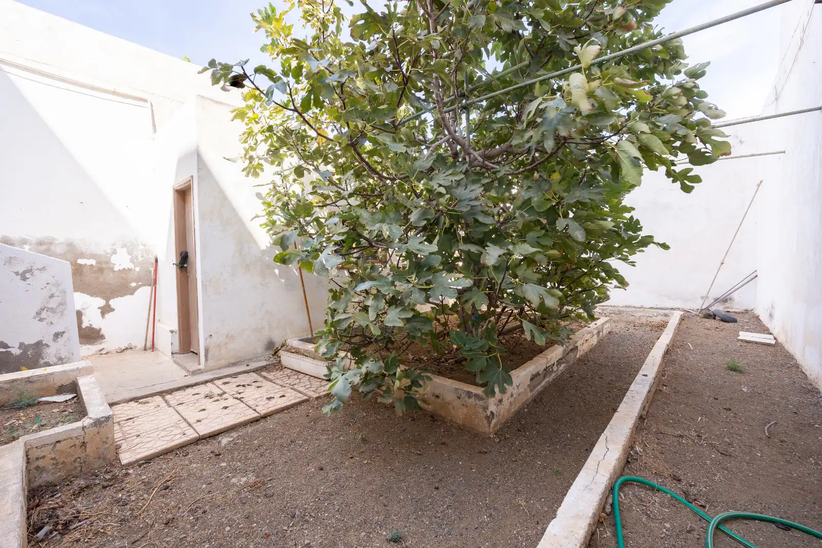 Jardín de Casa o chalet en venta en Carrizal