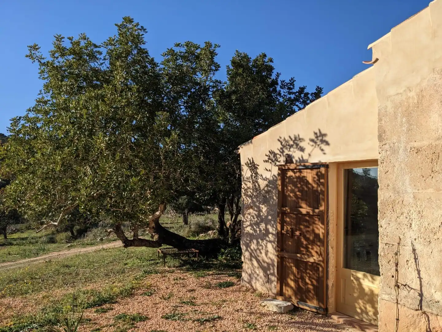 Landhaus zum Verkauf in Llucmajor pueblo, imagen 8