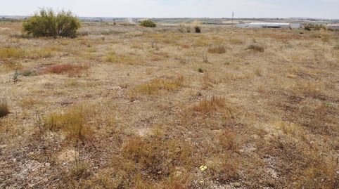 Foto 2 de Finca rústica en venta en Área Rural, Zamora Capital