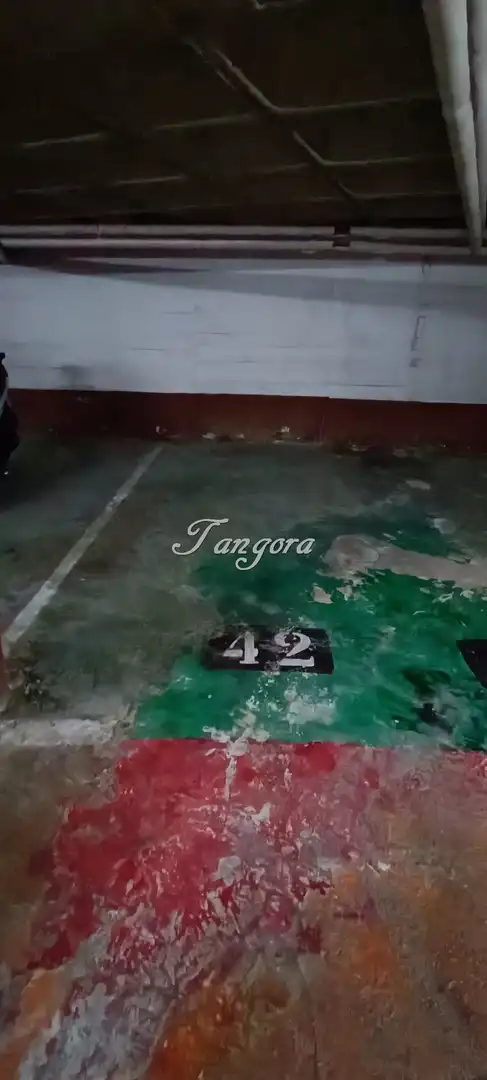 Aparcament de Garatge en venda en Leioa