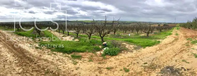 Terreno rústico en venta en Huévar del Aljarafe, imagen 3