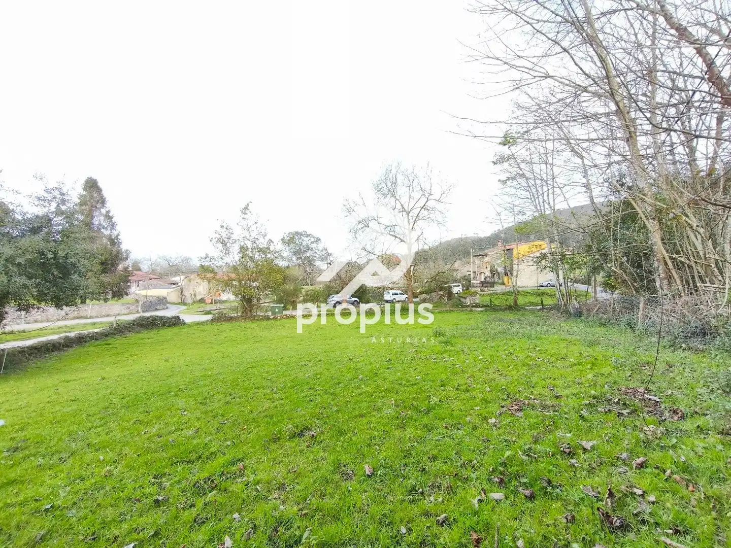 Terreno rustico in vendita a SAN ROQUE DEL ACEBAL, imagen 12