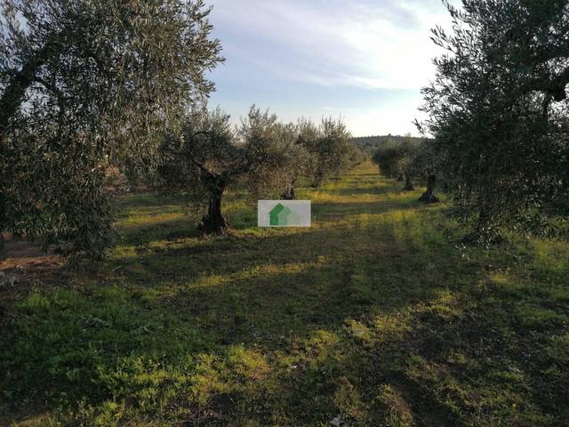 Terreno residencial en Venta en Montijo