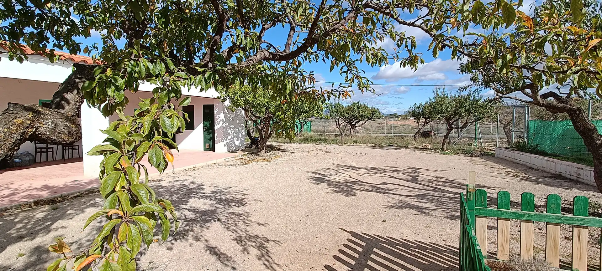 Casa o xalet en venda en Almansa amb Jardí privat