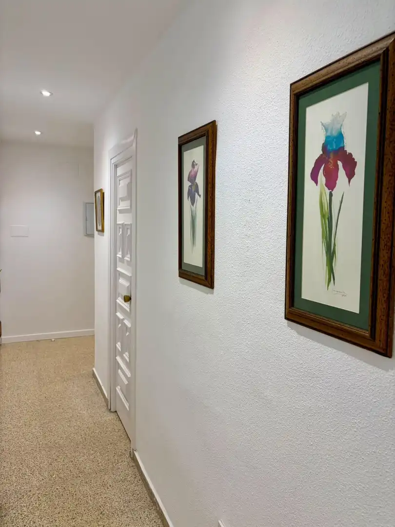 Wohnung zur Miete in Centro