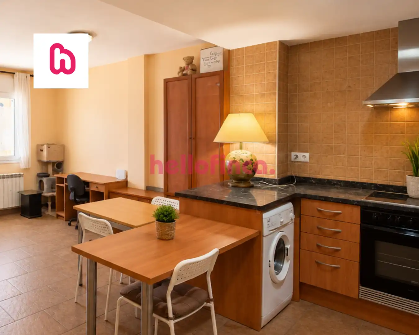 Appartement à vendre à Montesquiu
