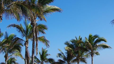 Photo 4 of Flat for sale in Puerto del Carmen, Tías