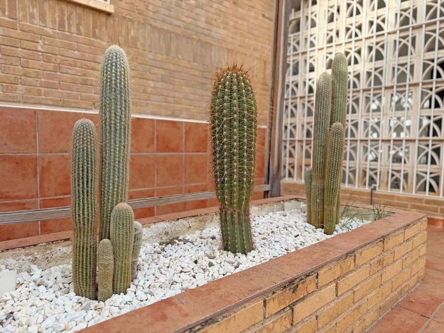 Jardín de Casa o chalet en venta en Alicante / Alacant con Calefacción, Jardín privado y Terraza