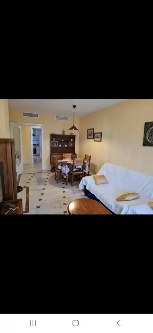 Piso de alquiler en Avenida del Doctor Manuel Domínguez, El Tejar - Hacienda Bizcochero
