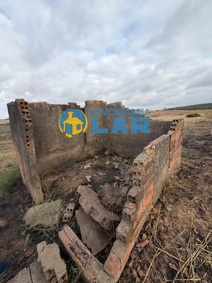 Land for sale in Niebla