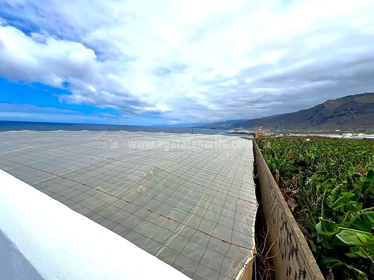 Vista exterior de Finca rústica en venta en Los Silos con Jardín privado y Terraza