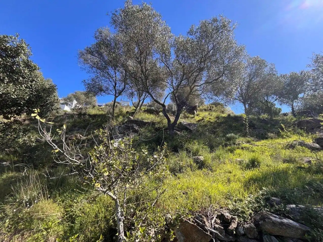 Terrenys i solars en venda a Pasaje de Marià Aguiló 19, imagen 6