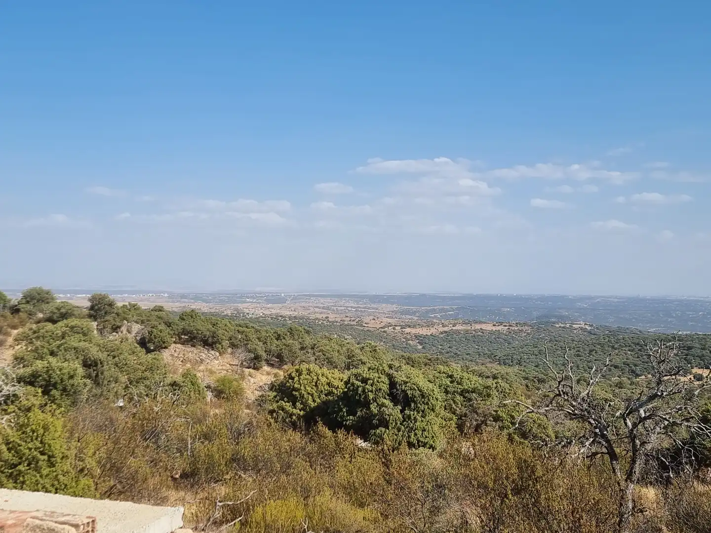Land for sale in Colmenar Viejo
