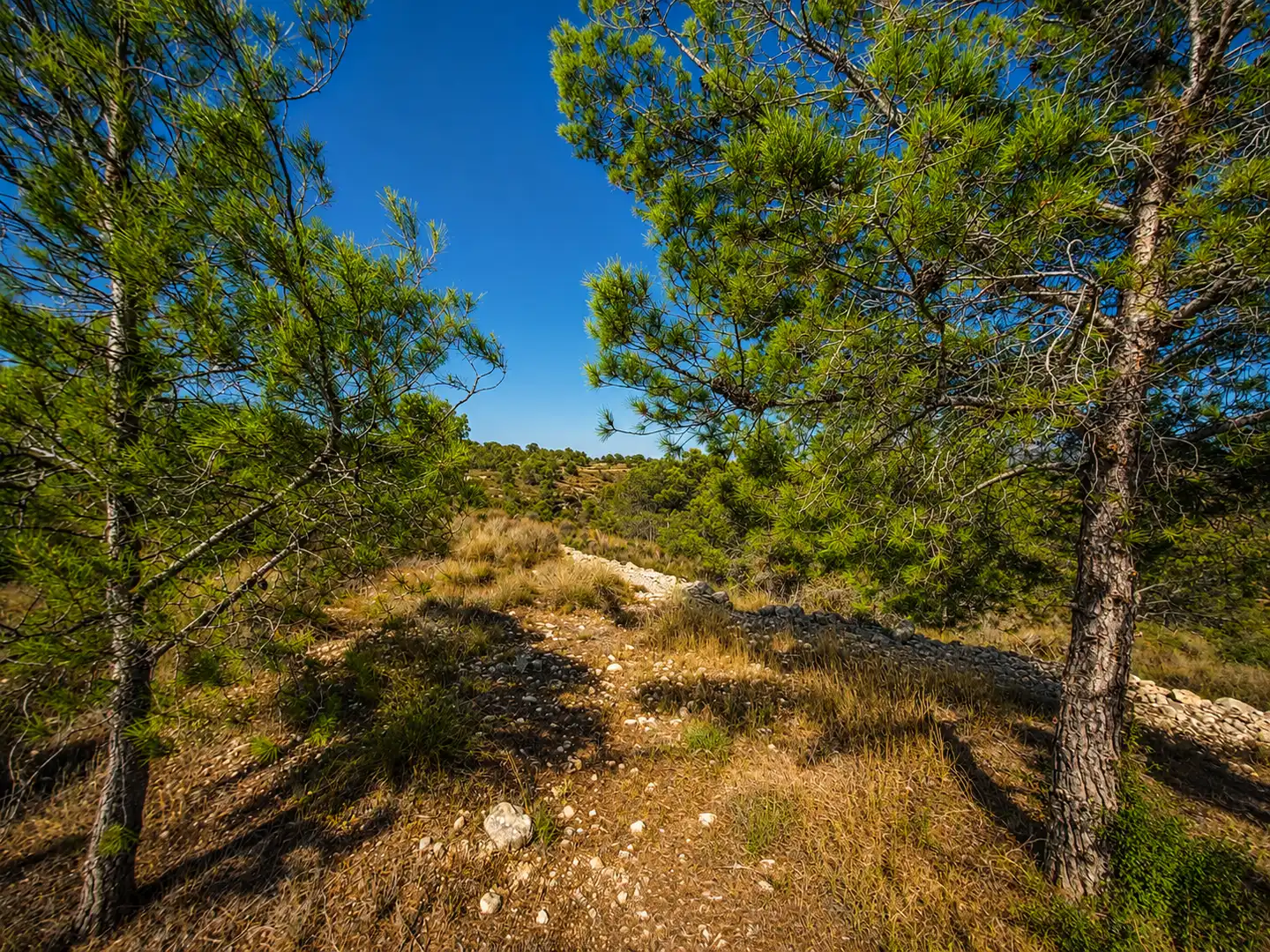 Terreno en venta en La Romana
