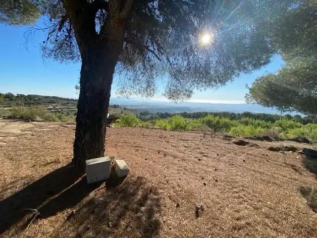 Lands and plots for sale in Mula, imagen 2