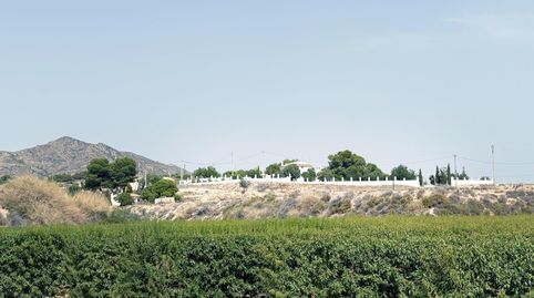 Foto 3 de Casa o xalet en venda a Partida Horna Alta, Novelda, Alicante
