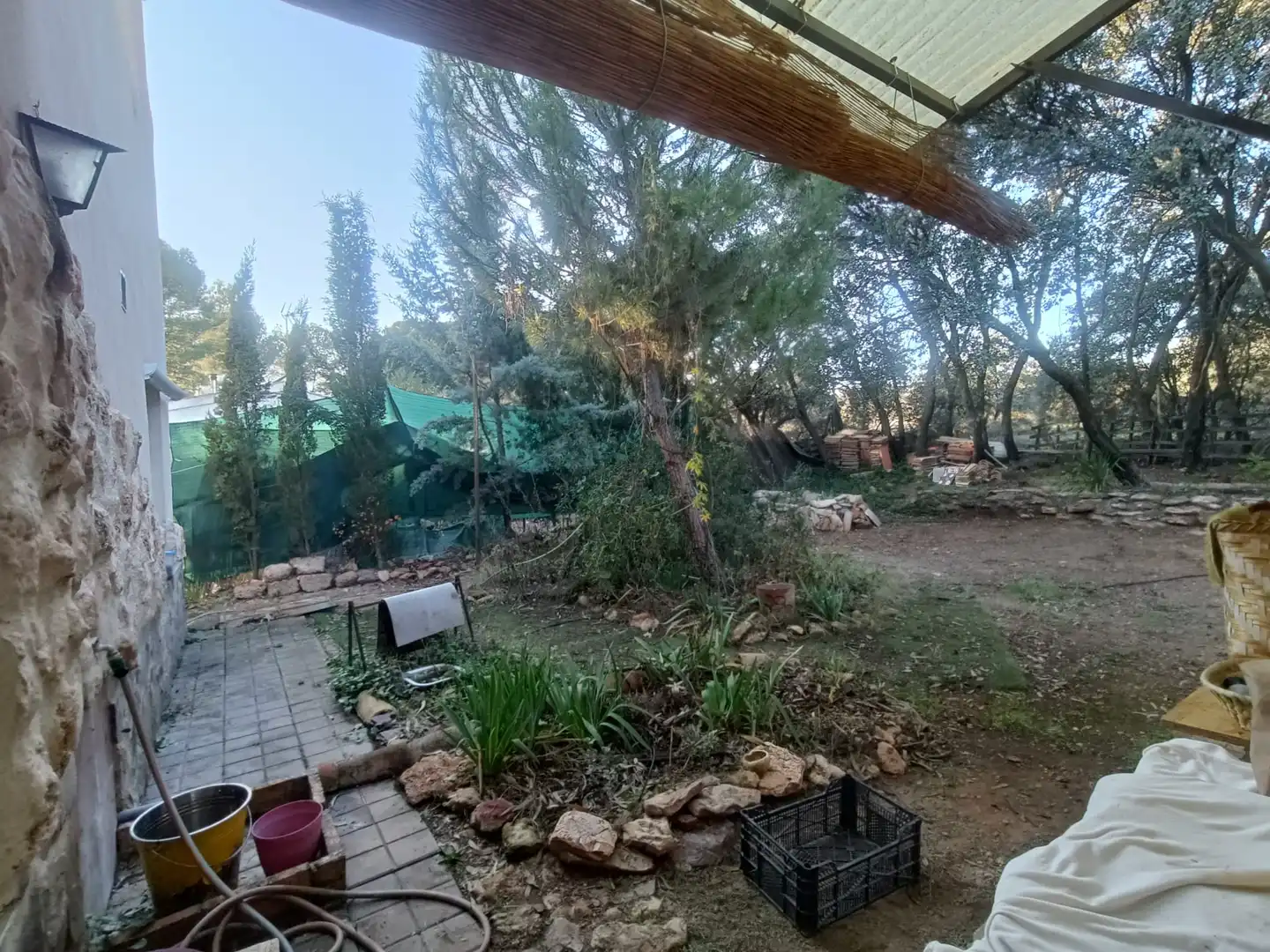 Jardín de Casa o chalet en venta en Carrión de Calatrava con Jardín privado, Trastero y Amueblado