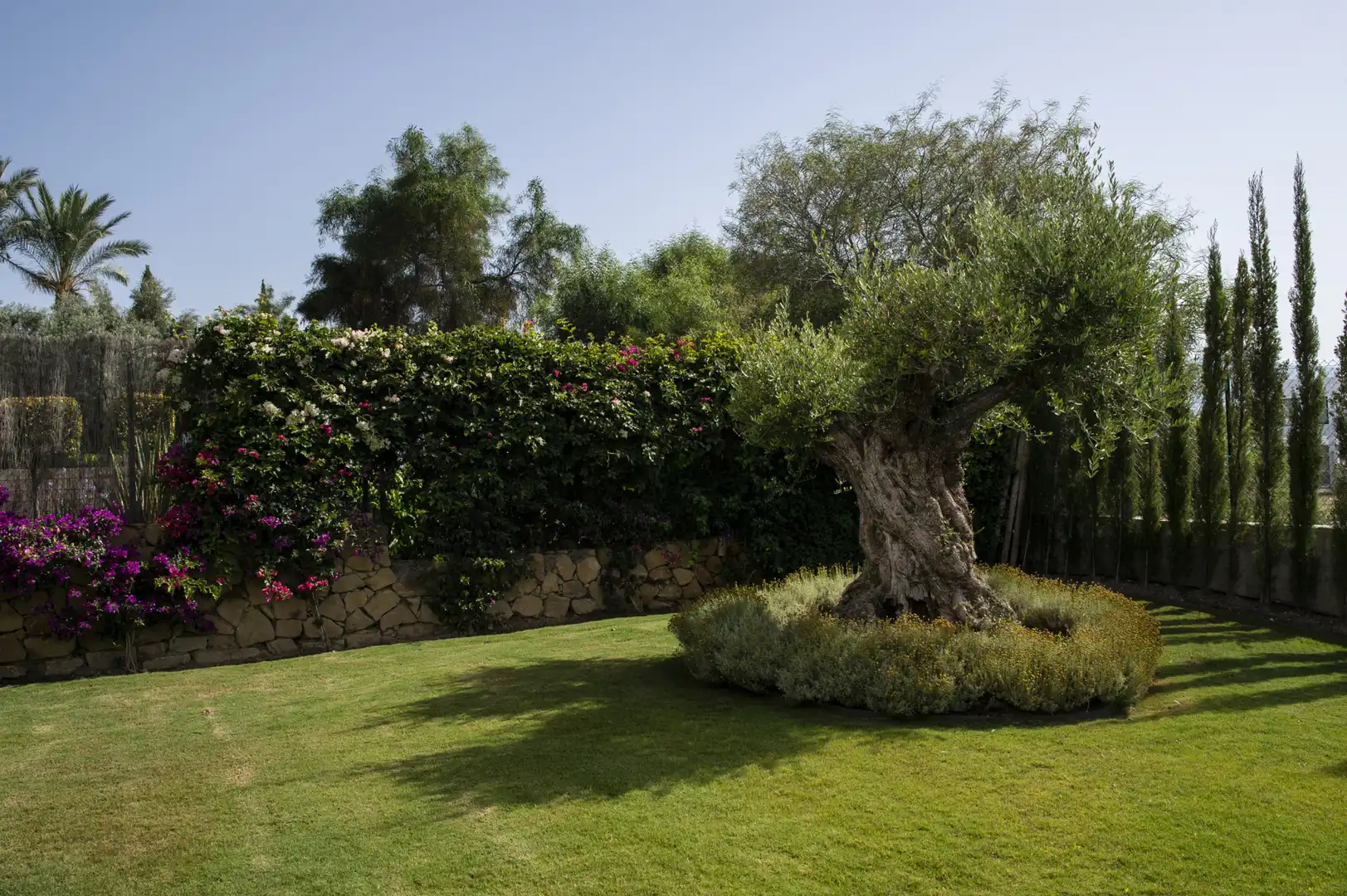 Haus mit Pool zum Verkauf in Marbella Centro, imagen 45