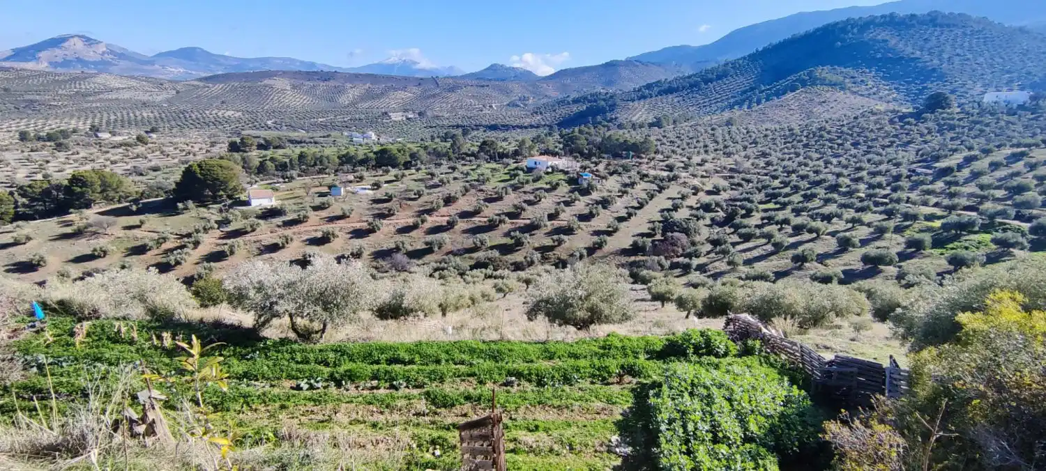 Casa rústica en venda a Puente Jontoya - Puente de la Sierra - El Arroyo, imagen 23