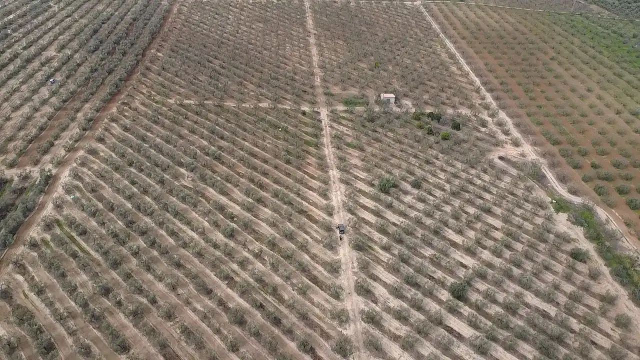 Terreno en venta en Bormujos