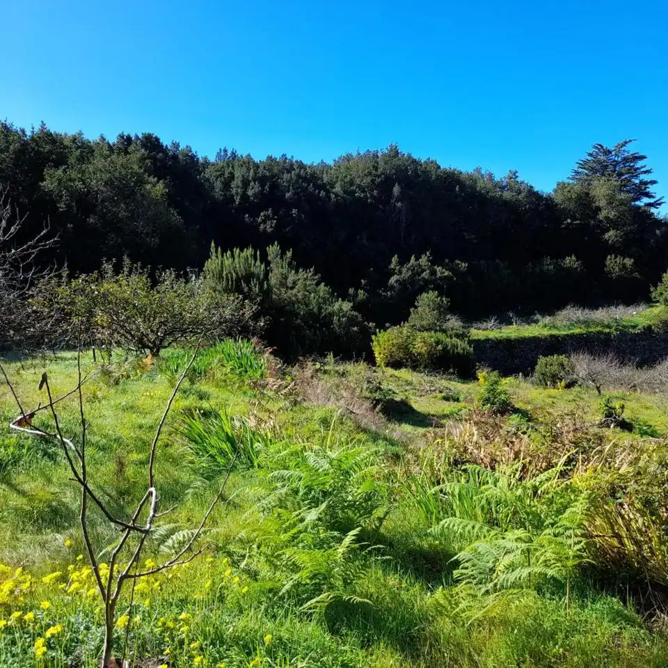 Rural land for sale in Hoya De Manzaneros, imagen 10