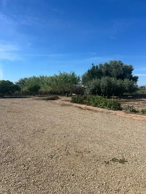 Terrain rustique à vendre à Avenida de Riola, imagen 20