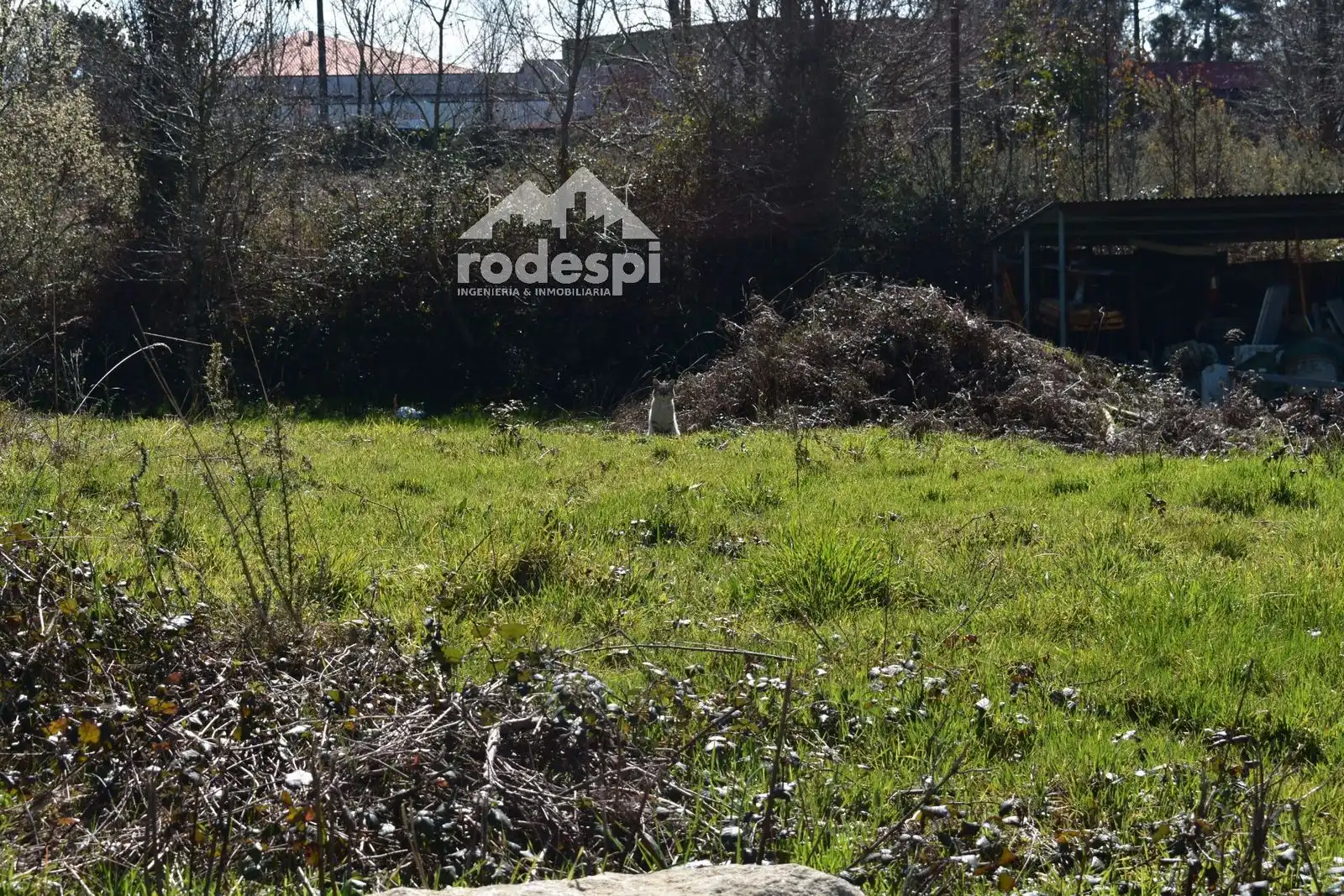 Terreny rústic en venda a A Cañiza, imagen 9
