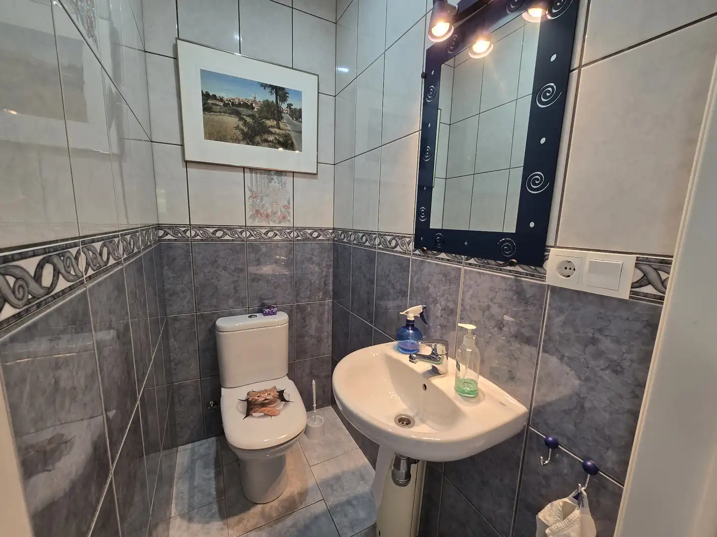 Bany de Casa o xalet en venda en Empuriabrava amb Aire condicionat, Jardí privat i Piscina