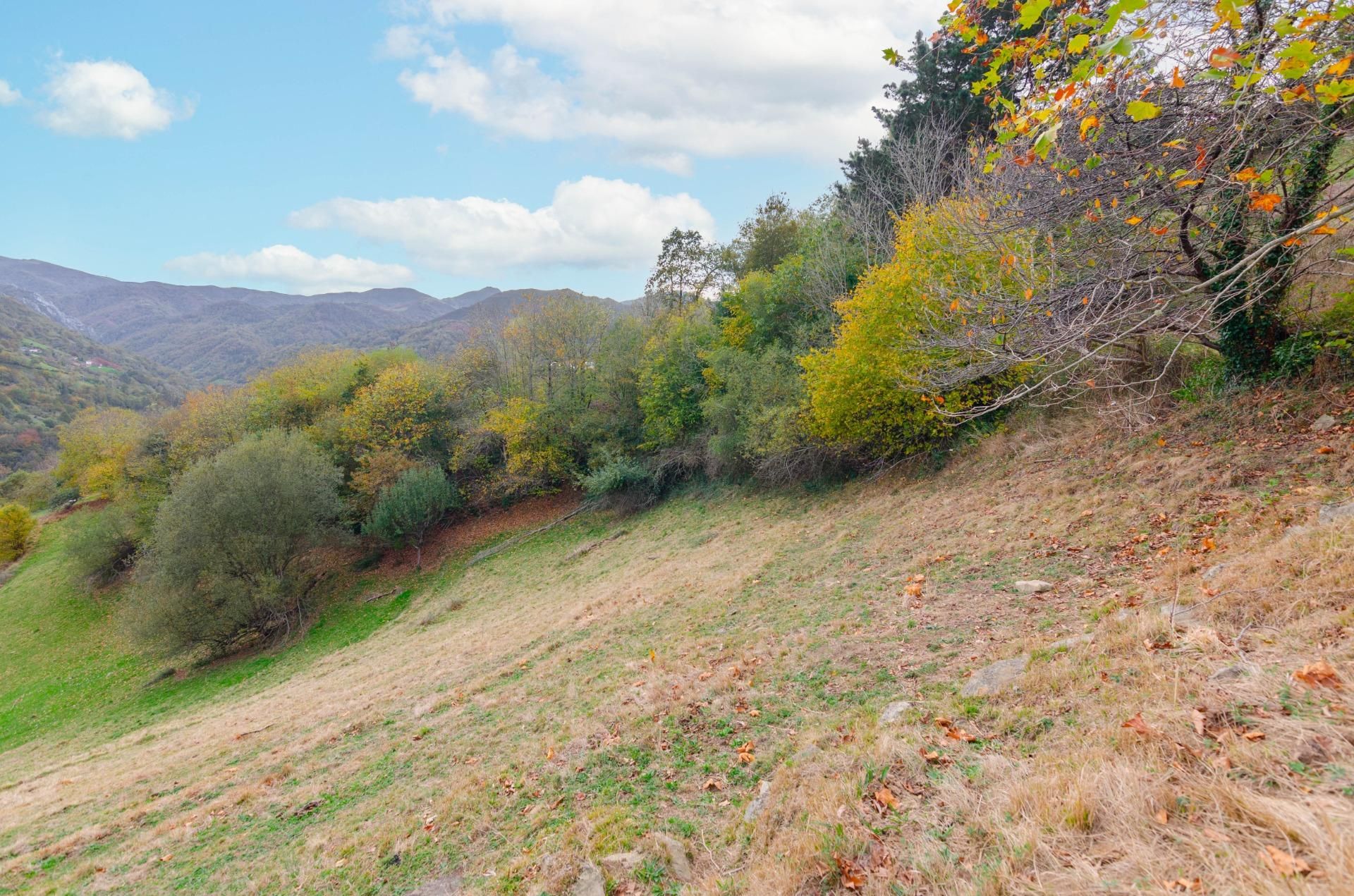 House or chalet for sale in Piloña  with Private garden