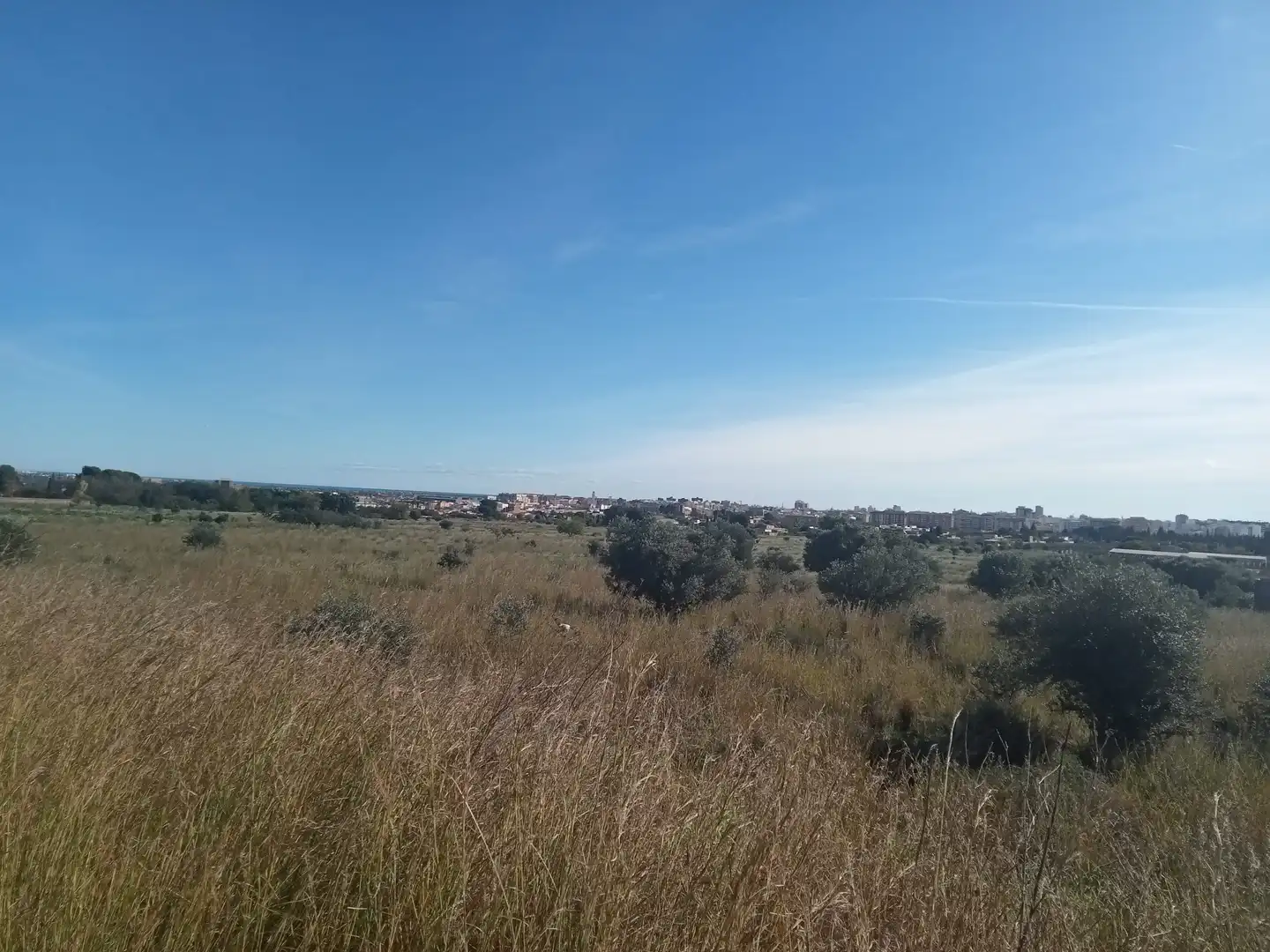 Terreno rustico in vendita a El Grao, imagen 5
