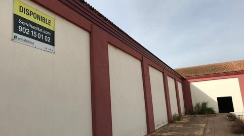 Photo 3 of Premises for sale in Guadial, Huévar del Aljarafe, Sevilla