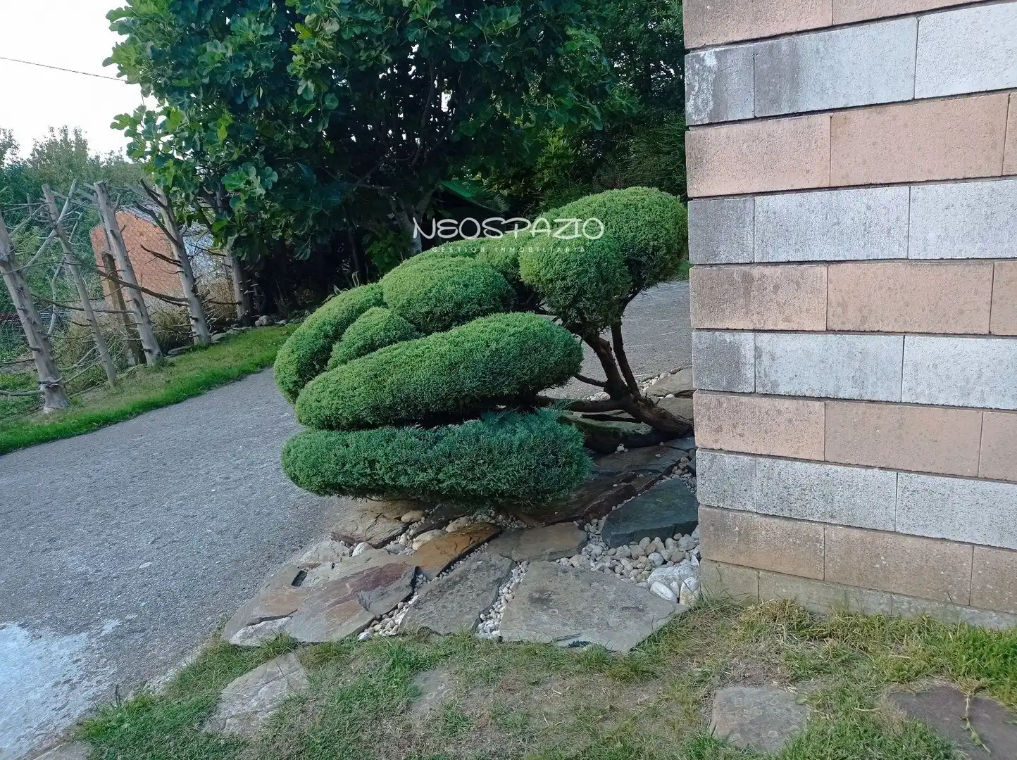 Jardín de Casa o chalet en venta en Lugo con Calefacción, Terraza y Piscina