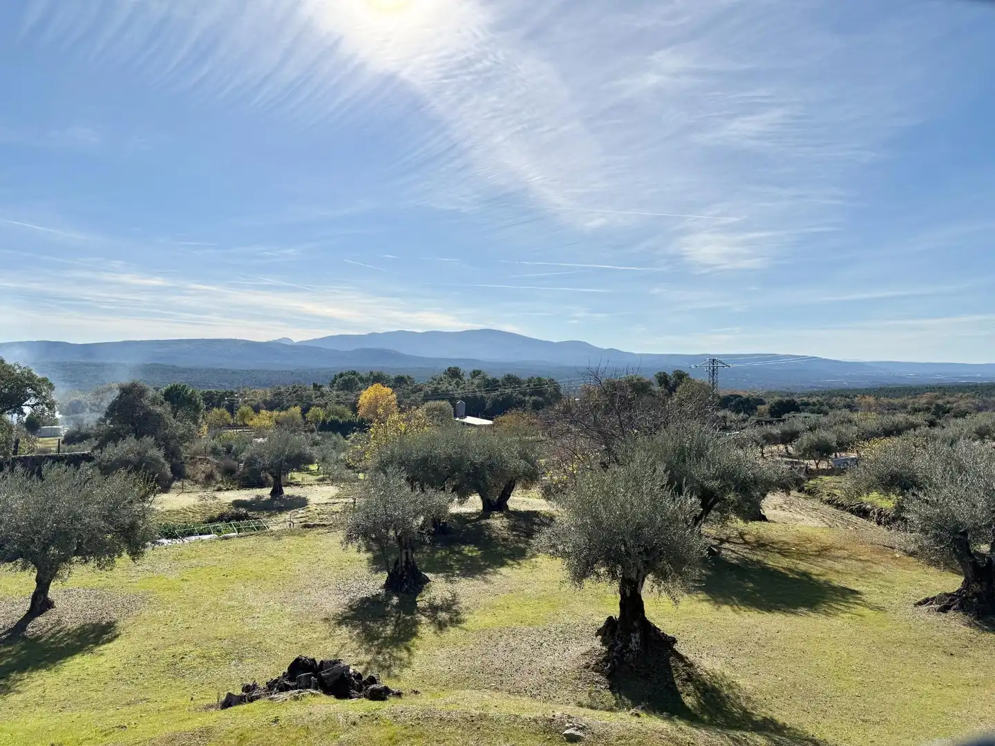 Finca rústica en venta en Piedralaves con Jardín privado, Terraza y Trastero