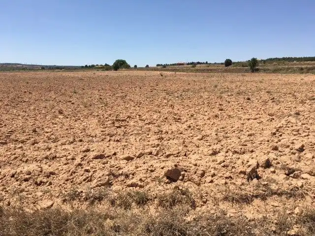 Terreno rustico in vendita a Almansa, imagen 3