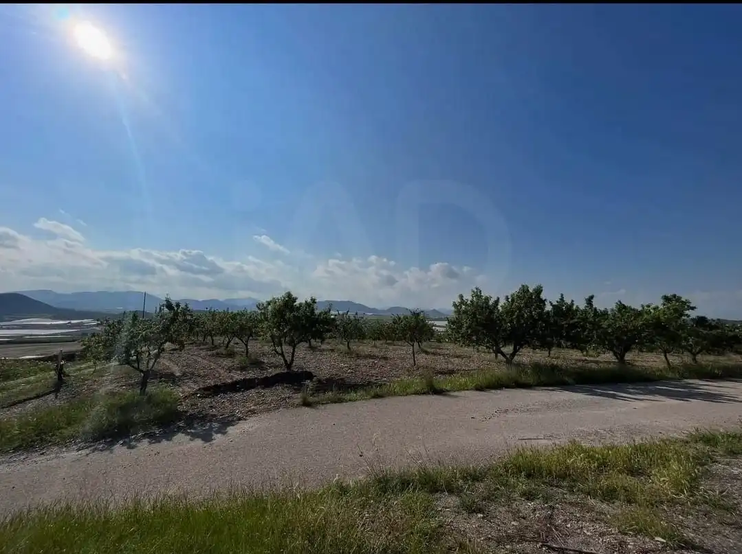 Terreni e lotti in vendita a Pedanías Sur, imagen 9