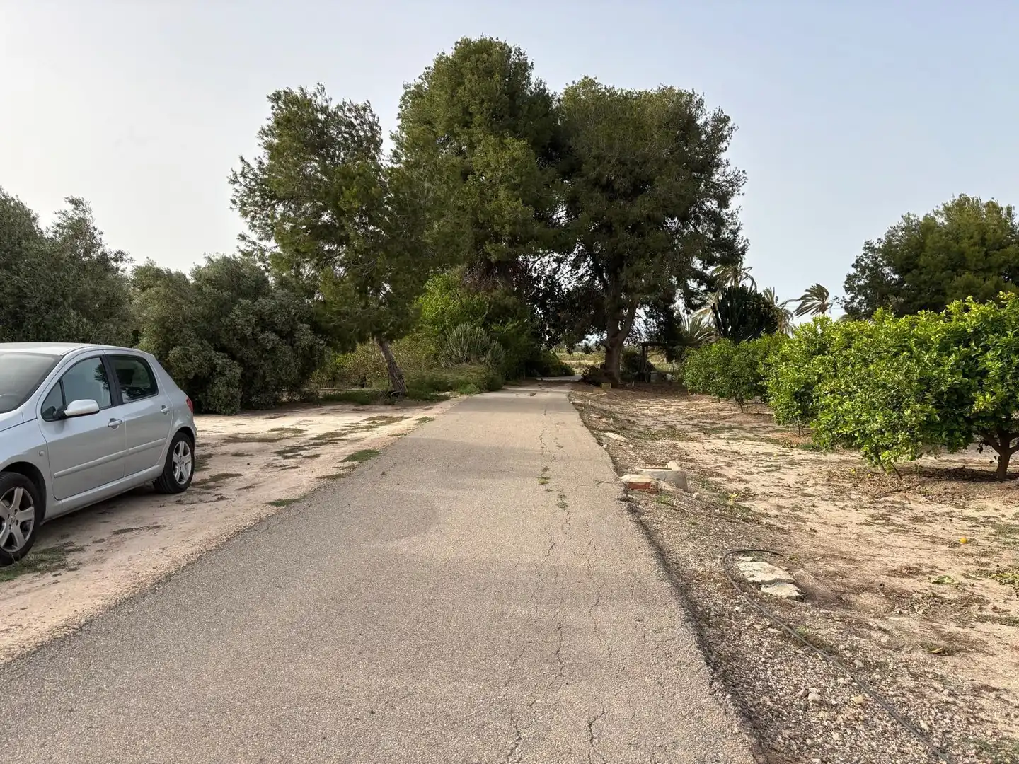 Villa avec jardin à vendre à La Foia - Daimés - Asprella, imagen 9
