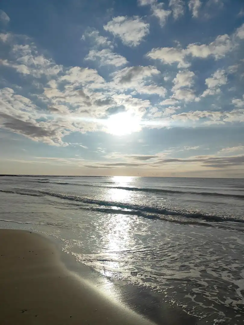 Chalet con jardín en venta en Playa, imagen 90