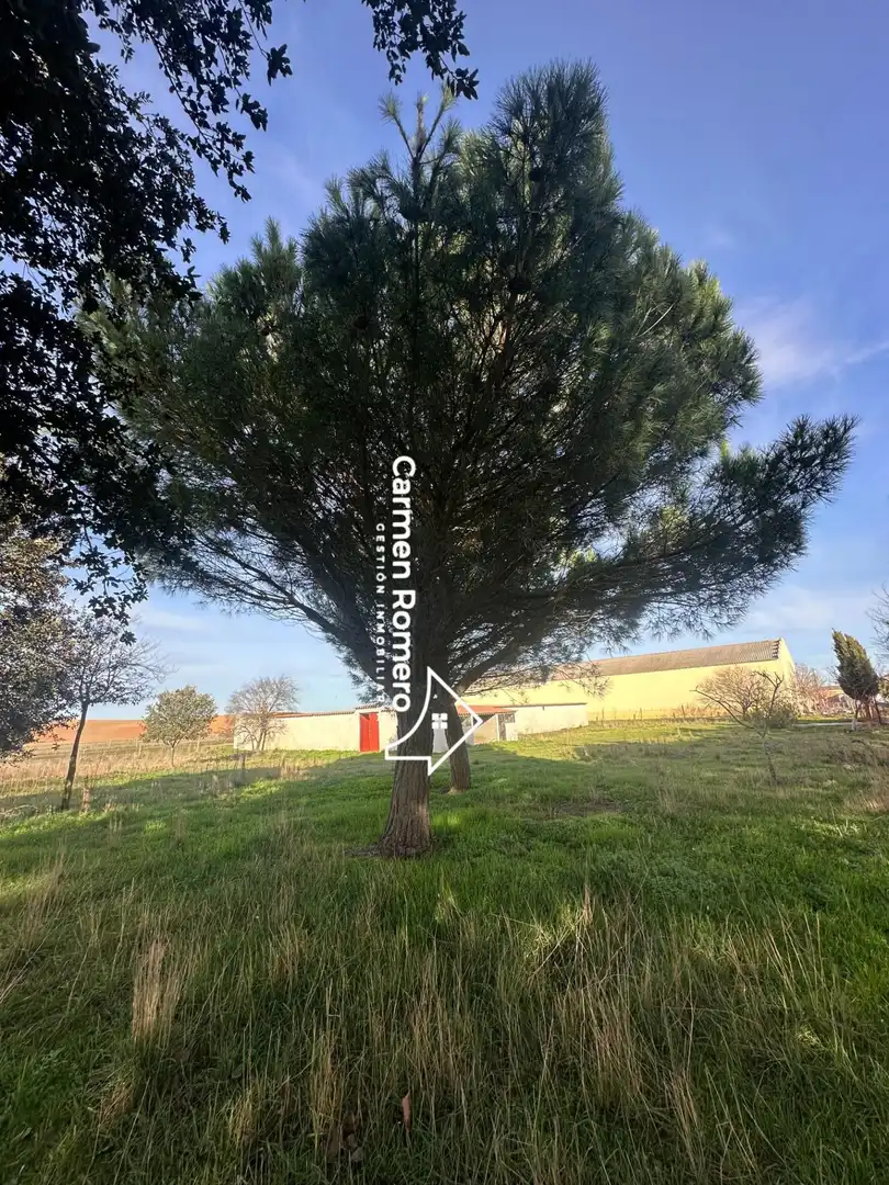Residential for sale in Valdunciel