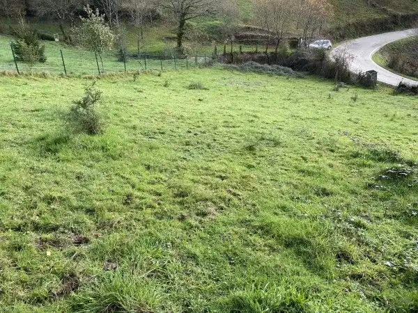 Casa o chalet en venta en Covelo con Jardín privado