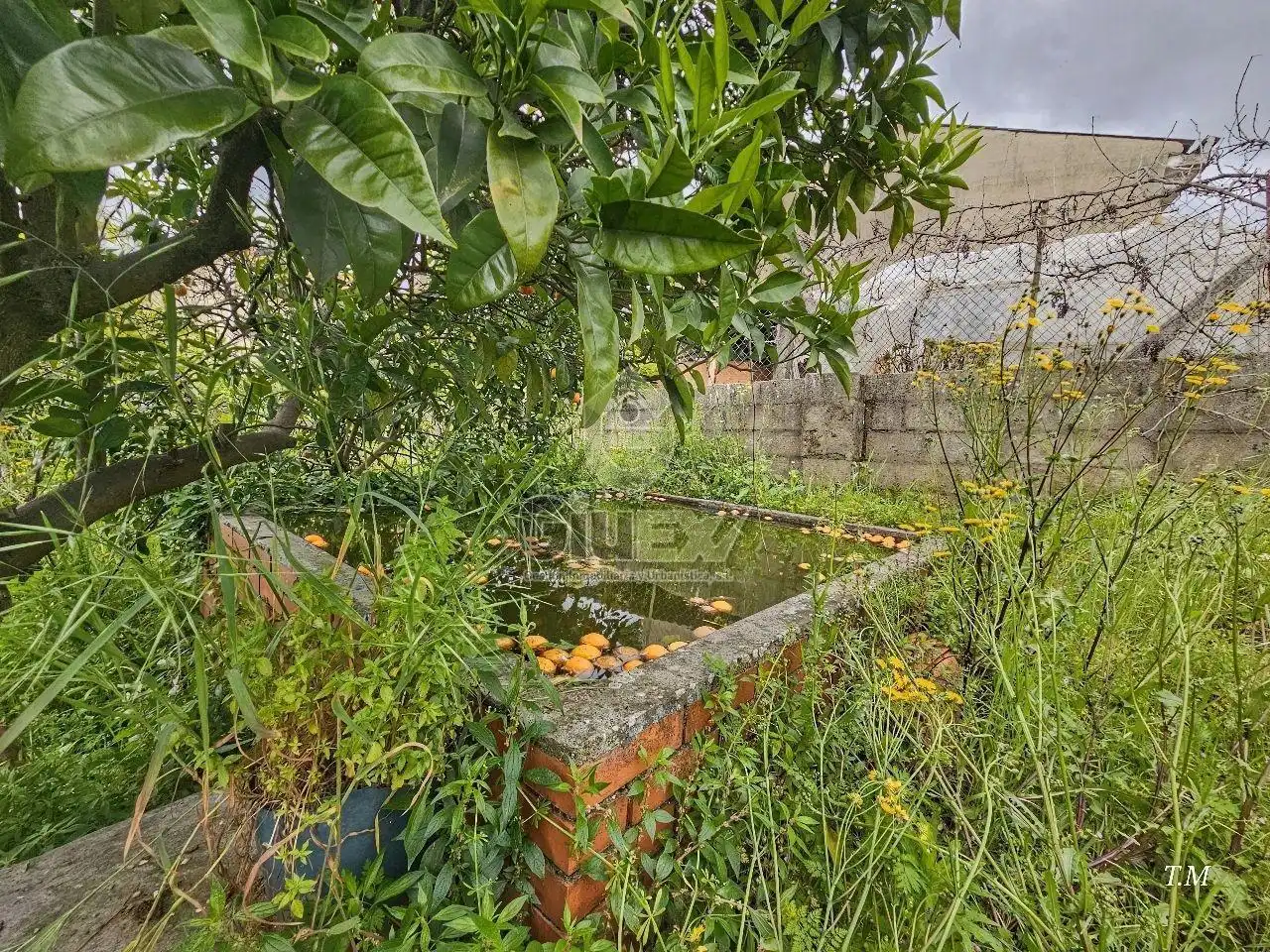 Houses for sale in Perales del Puerto  with Heating, Private garden and Terrace