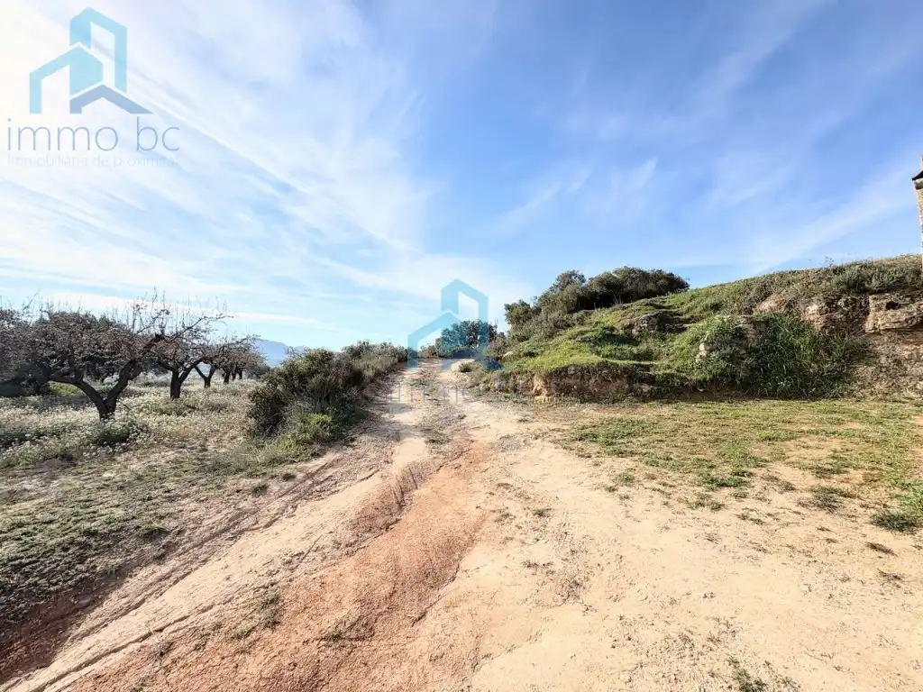 Finca rústica en venta en Gandesa