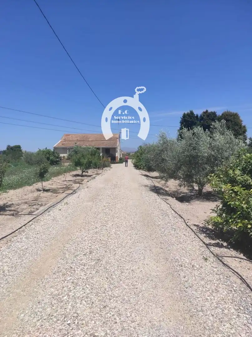 Casa o xalet en venda en Elche / Elx amb Terrassa