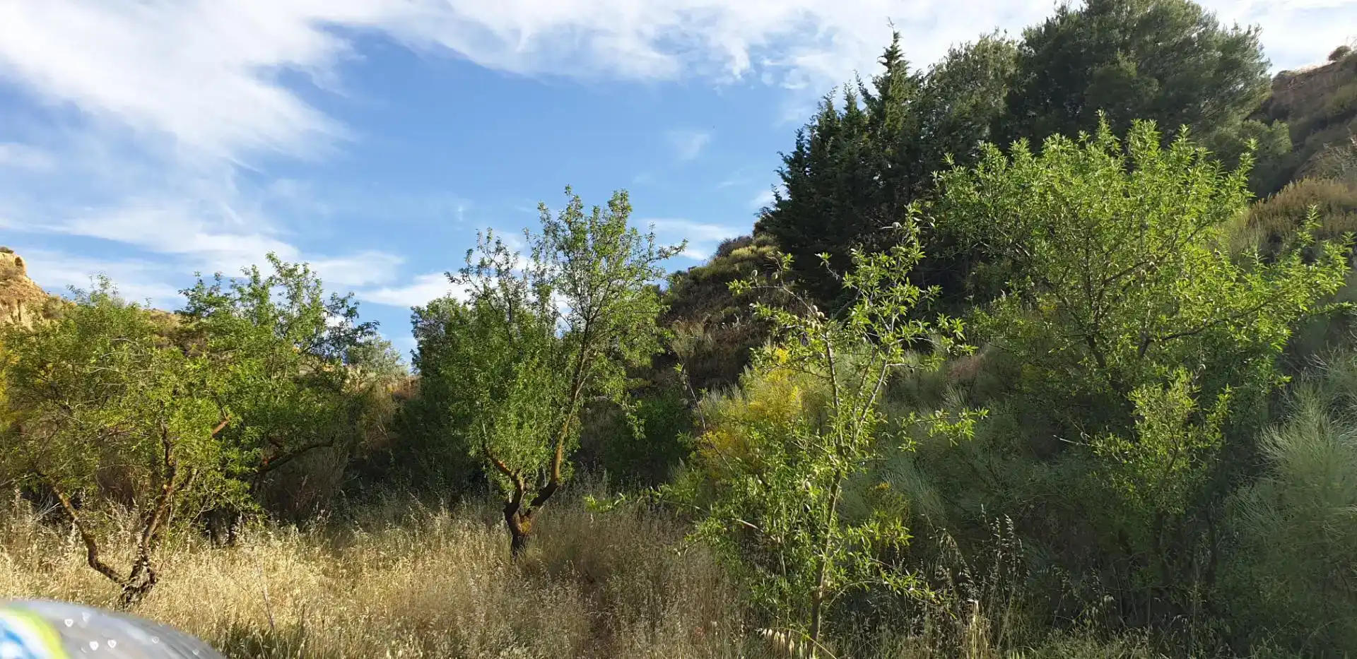 Finca rústica en venda en Guadix
