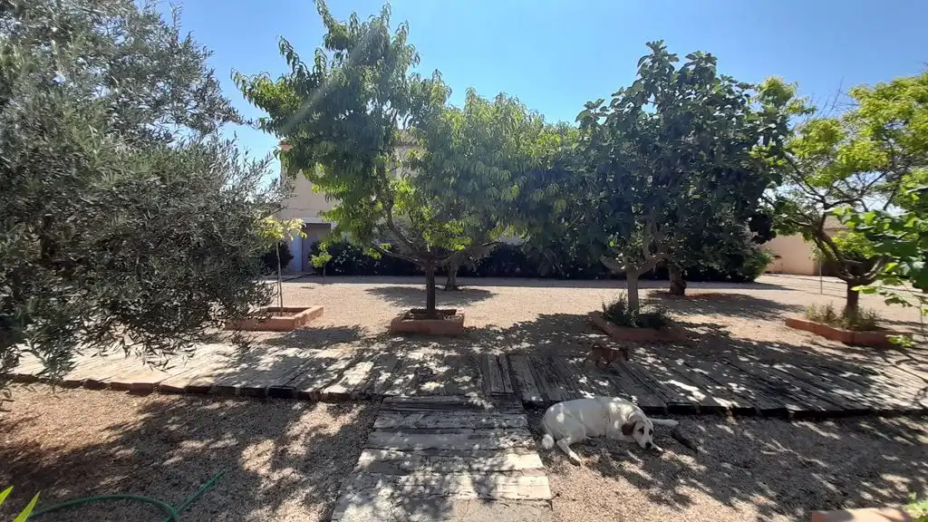 Vista exterior de Finca rústica en venta en Munera