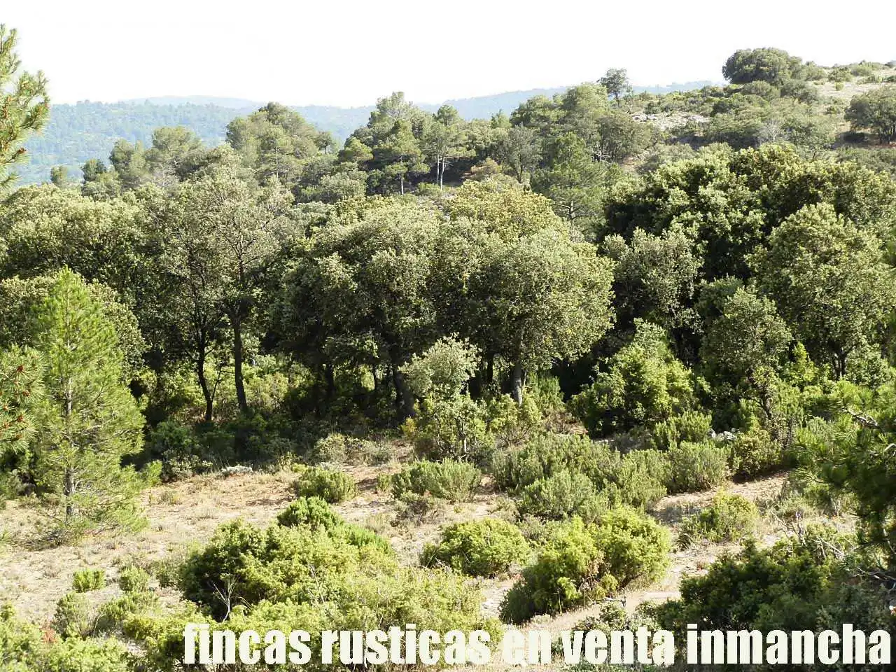 Terreno rustico in vendita a Caravaca de la Cruz, imagen 7