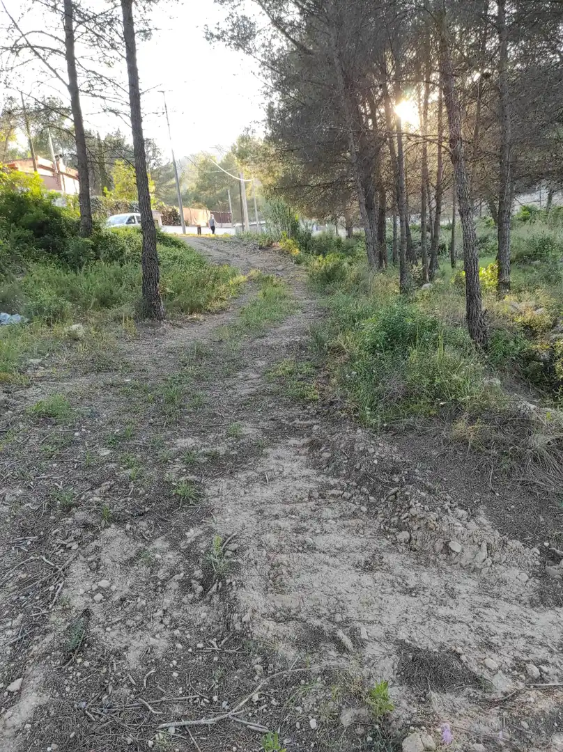Terreno residencial en venta en Canyelles, imagen 6