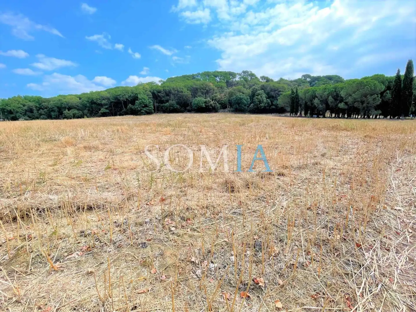 Terreno en venta en Santa Maria de Palautordera
